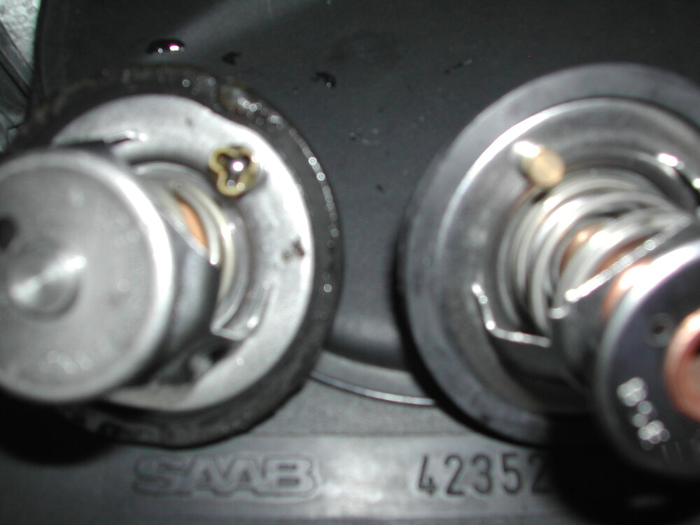 DSCN6702.thumb.JPG.f4a70e3449cd2bf1321f980106a5a0d4.JPG