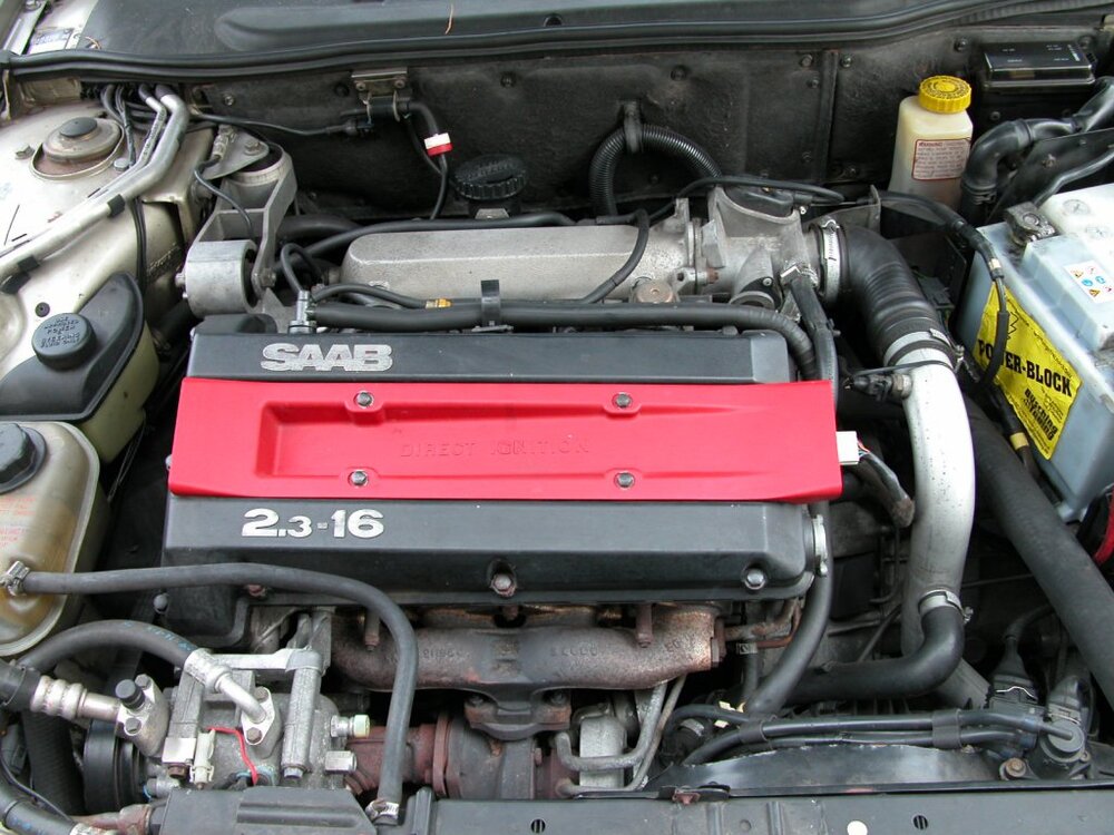 DSCN7981.thumb.jpg.7df913e2fa74bfc5a793aa69e2b81ed6.jpg