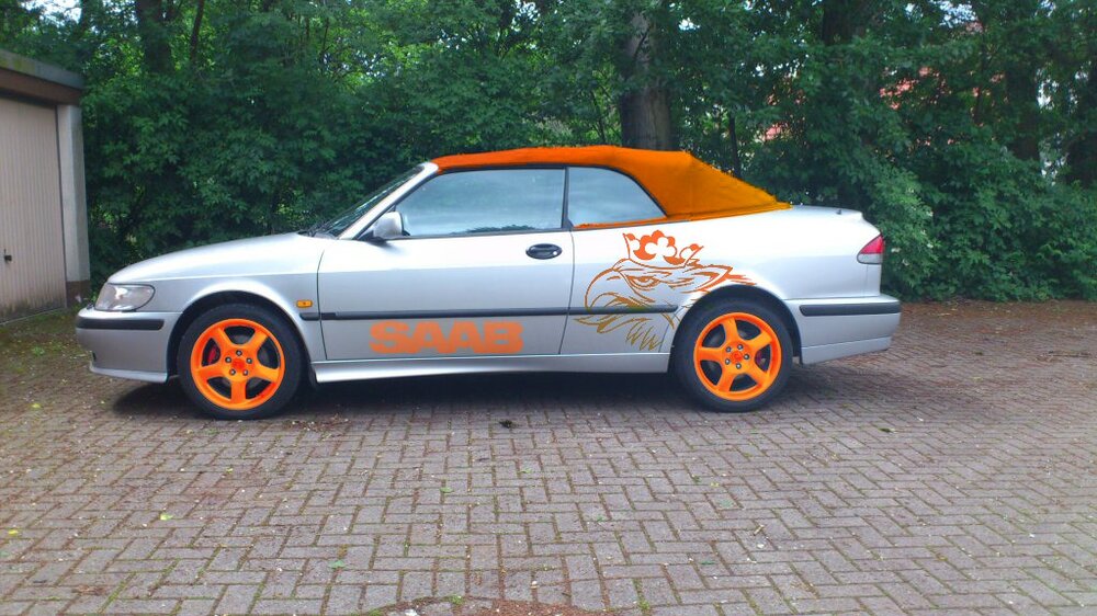 DSC_0089_orange.thumb.jpg.5ad37f942cd4140fdd34852ee6651546.jpg