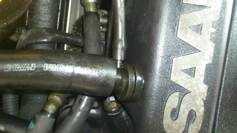DSC_0137.thumb.jpg.3b44f621200e9016188a5d13b189d9cc.jpg