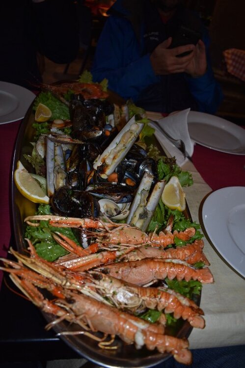 DSC_0780(533x800).thumb.jpg.91b85b50a03173f4f32fc89ba2bd6e6e.jpg
