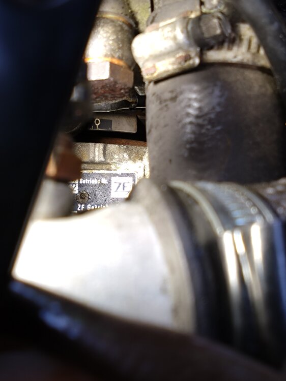 DSC_1056.thumb.JPG.25bd23acb6c1d8ab80f637855afff525.JPG