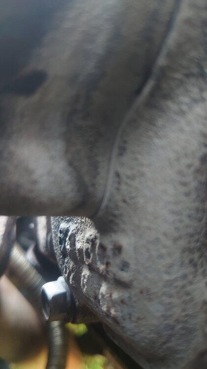 DSC_1505.thumb.JPG.ef5f00fb599e8c8099e4c380a2e590d7.JPG