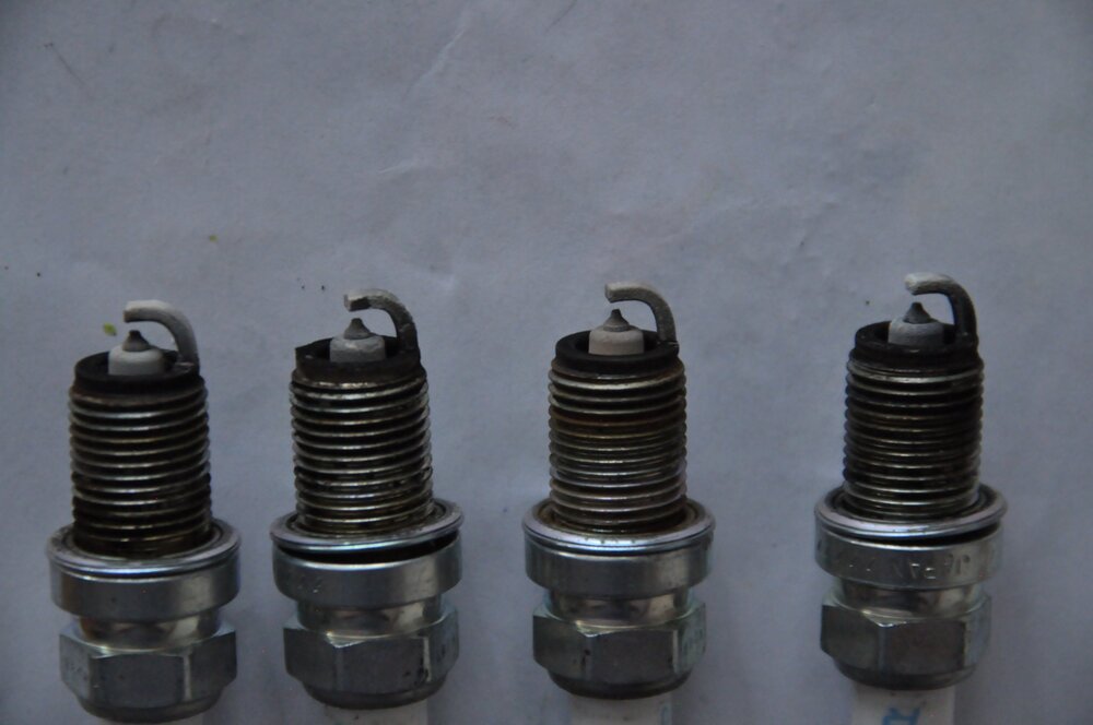 DSC_1973.thumb.JPG.a5aeedfd0eadf4d04cbaebfd2ff30d78.JPG