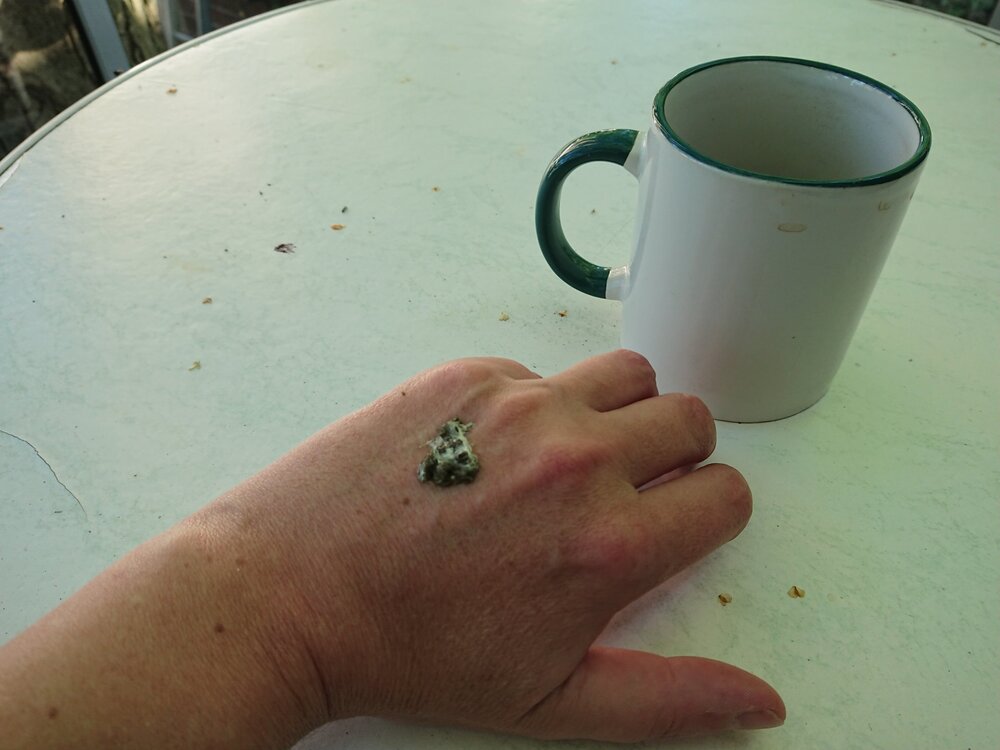 DSC_2244.thumb.JPG.89e97487d2e6443ca40778e04520a206.JPG