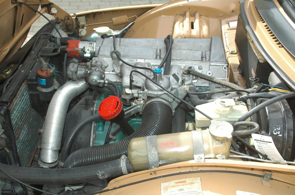 DSC_6933.thumb.JPG.9c9494b2a89789896ea071c495dfddcc.JPG