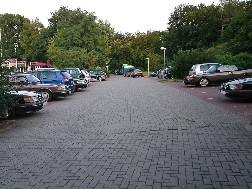 DSC_8304-1.thumb.jpg.ee8a310ae9609764c7710d0657a3b9b2.jpg