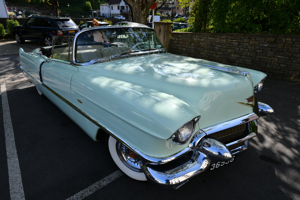 DSC_8911.thumb.JPG.851bbaf0f425a9debe5f86ed8d5e762e.JPG