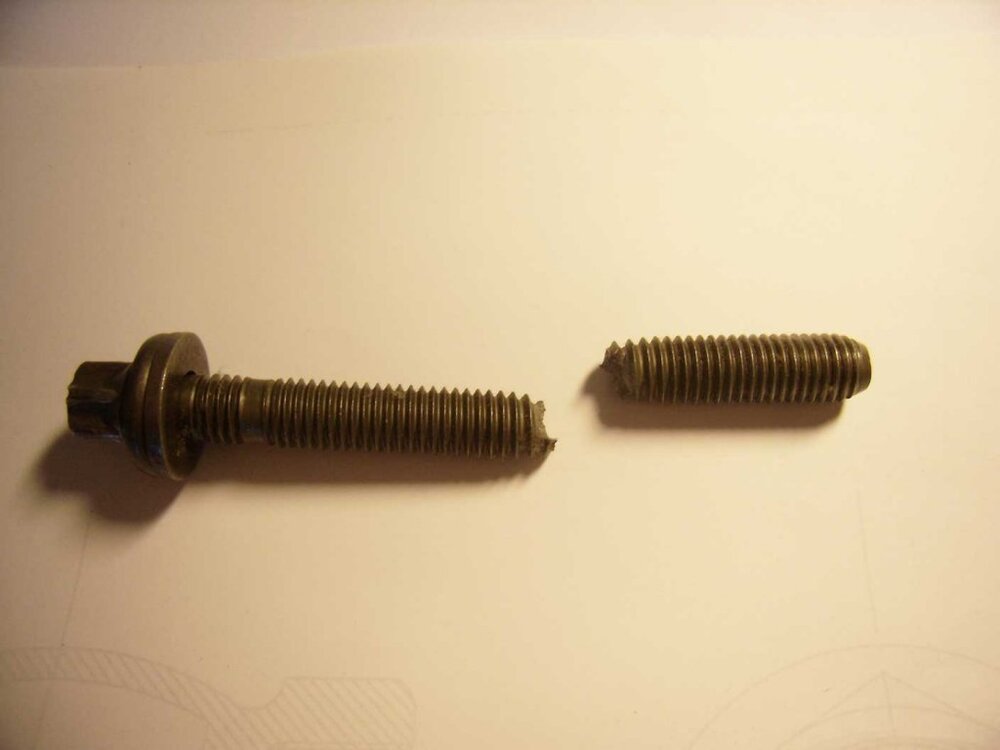 Diverse-0001.thumb.jpg.9aba082c6ce5e4b930b1785cceee5ab5.jpg