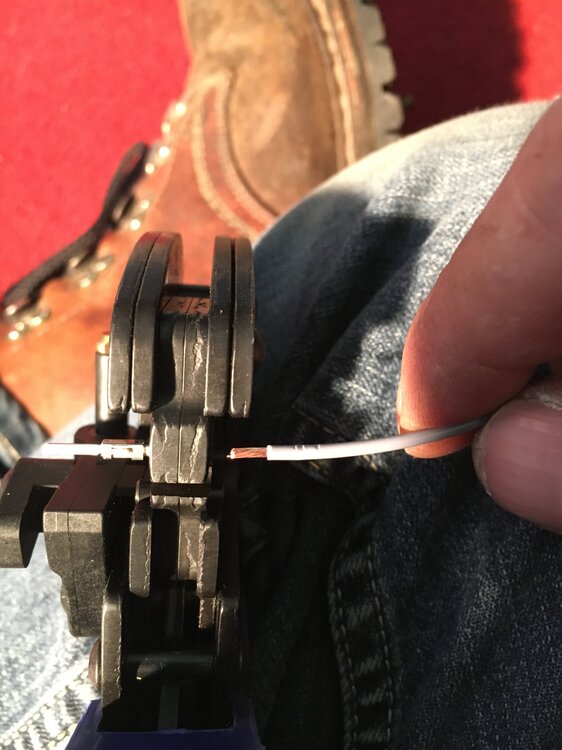 E37AB352-8419-435B-BDE7-09EB70C0B58E.thumb.jpeg.75d8c31c93049ccdff4041b49755ab92.jpeg