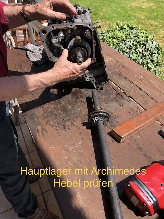 EA065E03-4AC0-4F07-93B7-48438F6B9F72.thumb.jpeg.76b3d6034af7fd79dedffa172d41cb4e.jpeg
