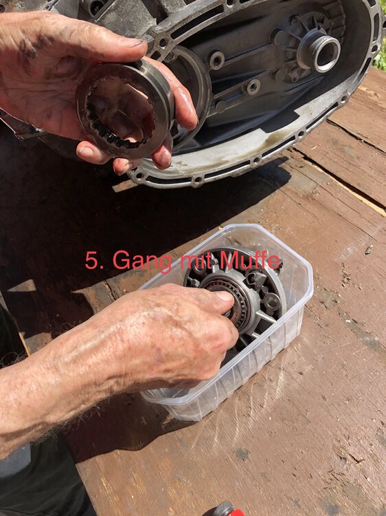 EB06BDB7-48D1-4A65-8508-A8CEC07AF0B2.thumb.jpeg.436b92bac7ce4a476b69bd5588b6373d.jpeg