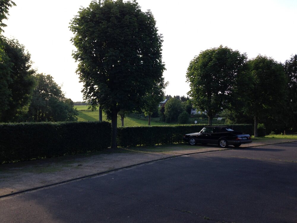 EECB3310-B188-4A3A-9359-B320A95ACFE0.thumb.jpeg.7bedd5aaf17aef6826b5d47cf96b82f6.jpeg