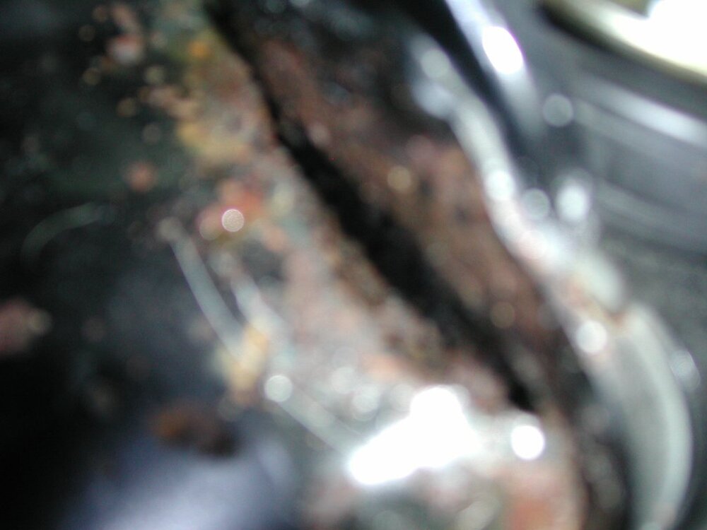 EPSN0014.thumb.jpg.0112917852b2e4d030e22ebbb6b35e94.jpg