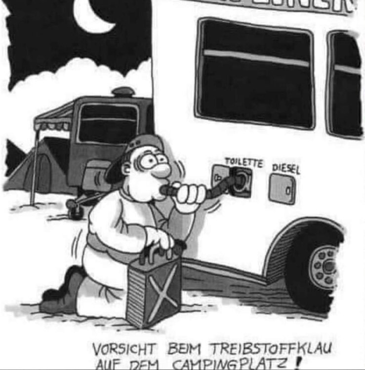 FB_IMG_1647242341345.thumb.jpg.fba7cb4540e5574dc1530f8b97b5b7b1.jpg