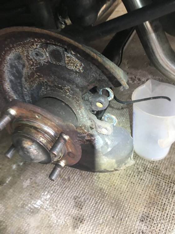 FCA853CC-EDD4-432F-B98F-FE1CB3DCB356.thumb.jpeg.8bd908579fbcb621d99691b352620a0c.jpeg