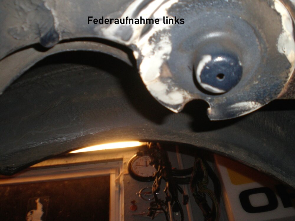 Federaufnahmeli..thumb.jpg.c15ad1f06ff936e15ffc9ba090252389.jpg