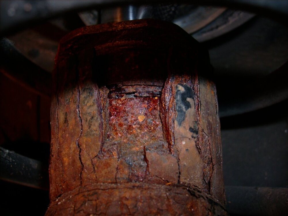 Federbein(2).thumb.jpg.78237d30b2d0175debd49d63fa054ffc.jpg
