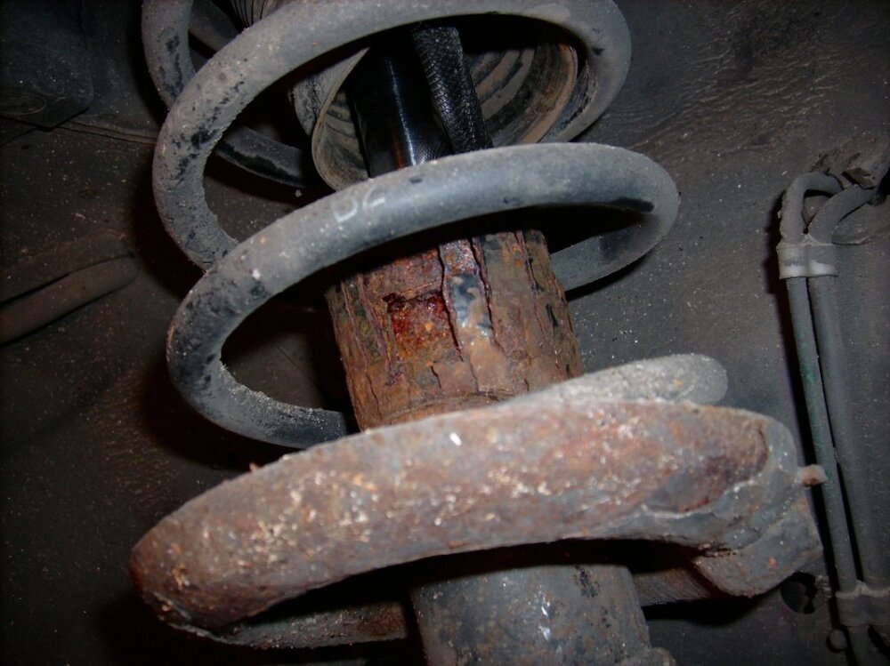 Federbein(3).thumb.jpg.5386cfd4f3dcd349dfe44b621d6668ab.jpg
