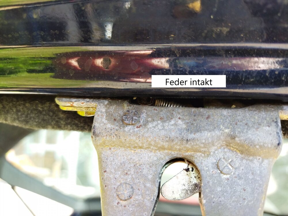 Federintakt.thumb.jpg.3eaa2d91ab815e74c7689e05e57a228d.jpg