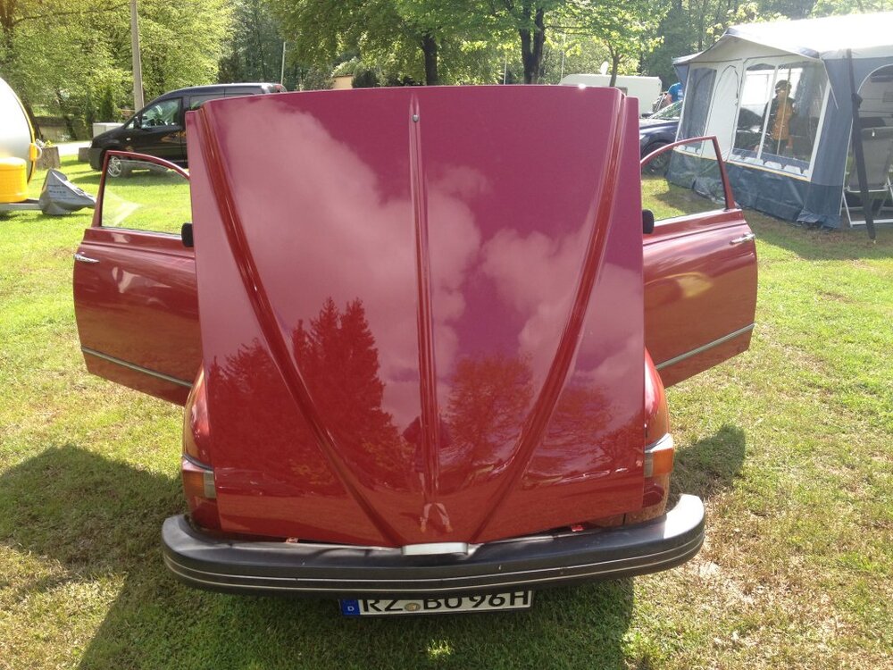 Flgeltrer.thumb.jpg.d6cb9c5c1f716f6b479d985dbe9ca44d.jpg