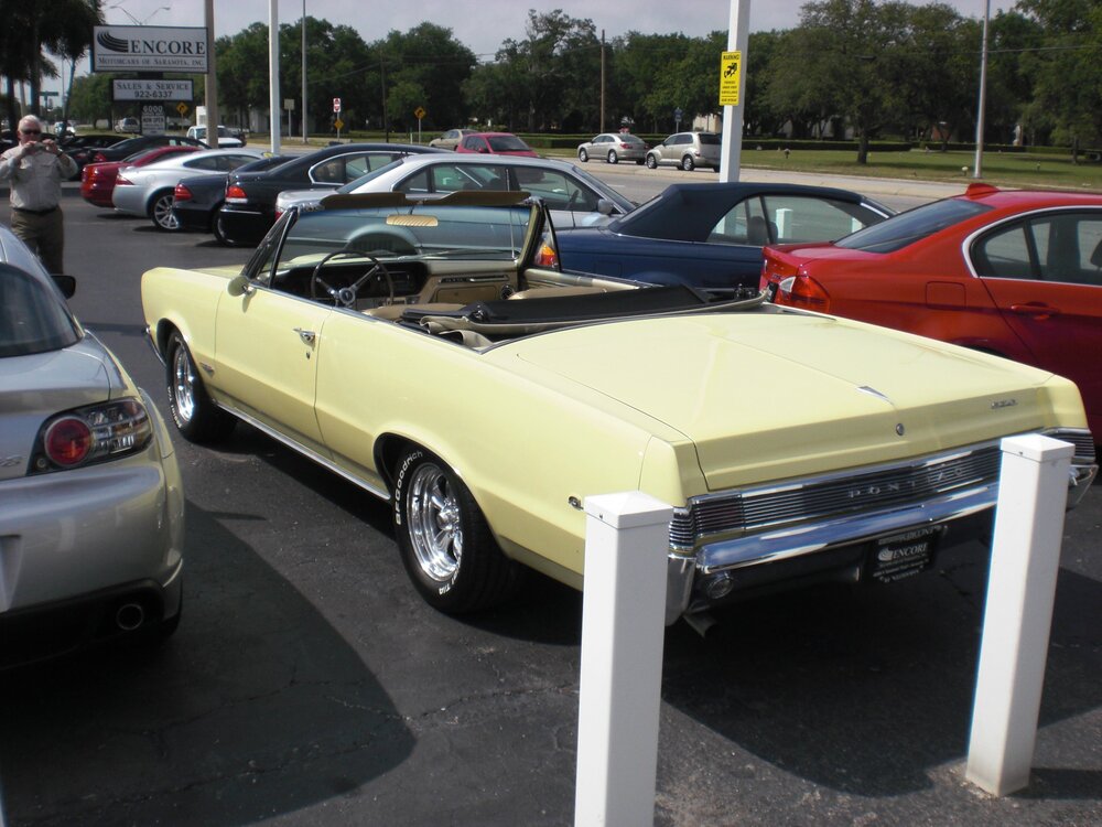 Florida2008086.thumb.jpg.ff6d0061cc3a7cdff9f2029b2fb283bf.jpg