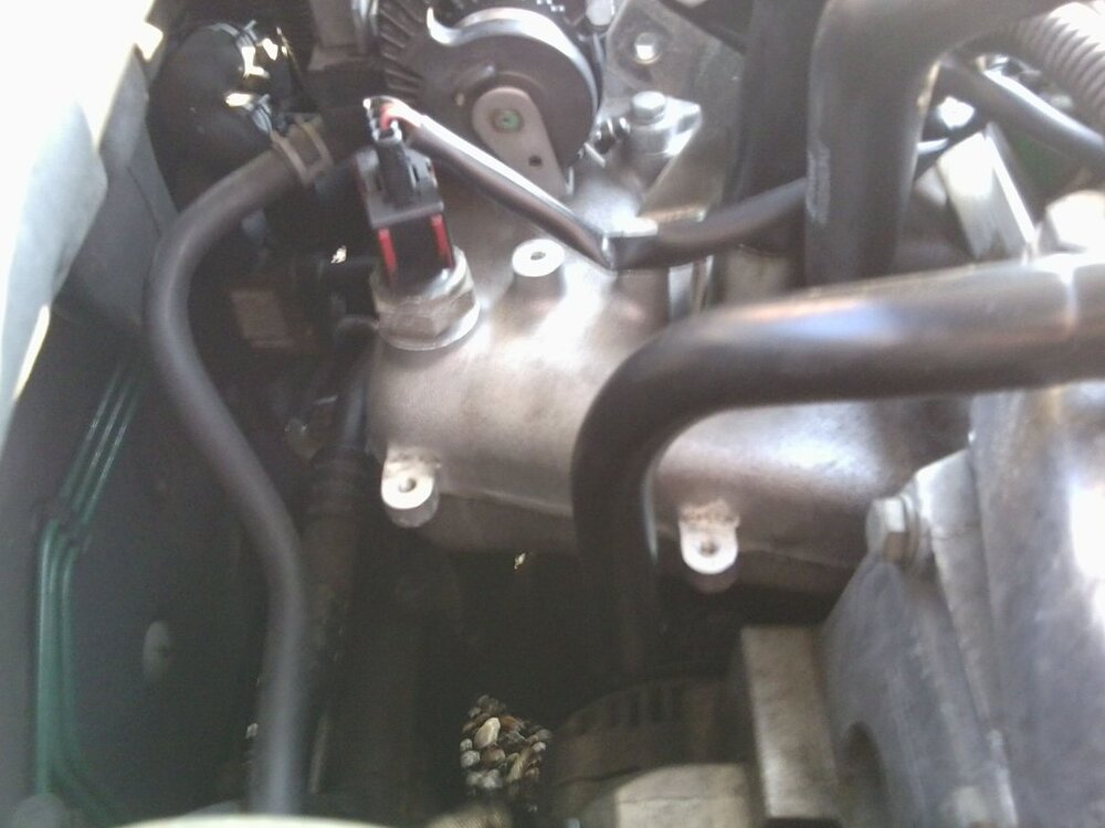 Foto0051.thumb.jpg.8fcdfb3f4efb382a0278c46e3d7d8b0b.jpg
