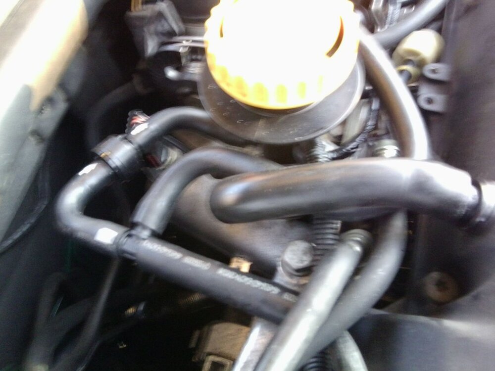 Foto0054.thumb.jpg.26039d61f92c6744785465f1a80d78ab.jpg