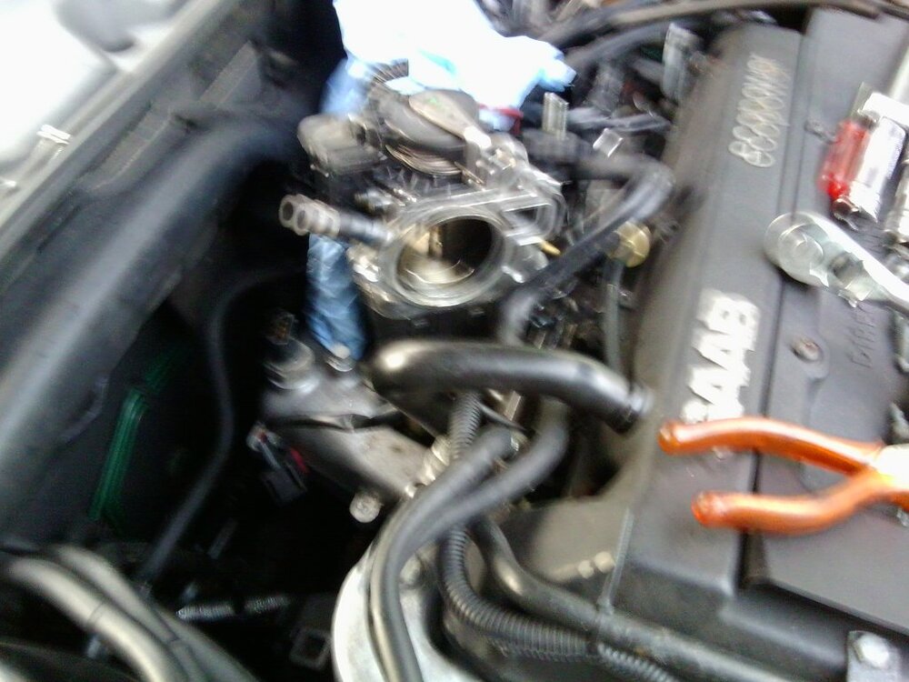 Foto0317.thumb.jpg.d7a2a9a3fa3f4f7a782bb52a99a3f2ac.jpg