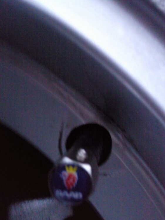 Foto0507.thumb.jpg.6fa02ca9ff672b2209f8130914d745be.jpg