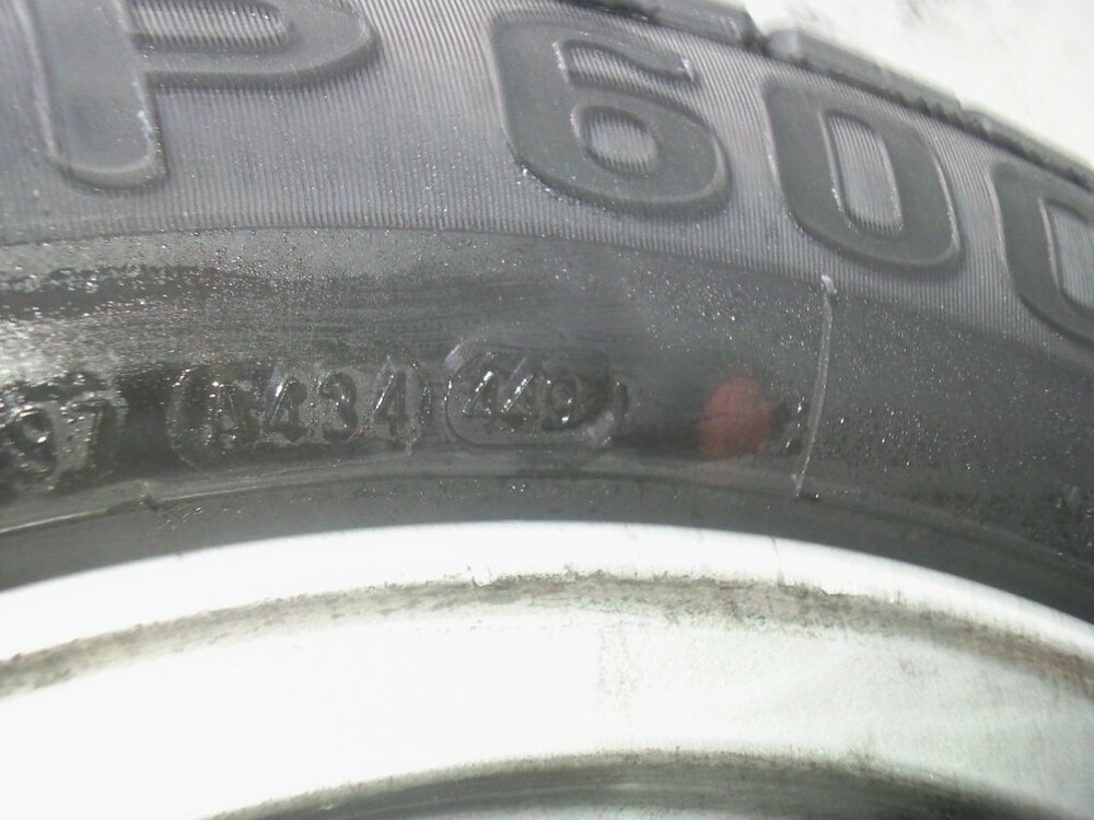 Foto053.thumb.jpg.8eb1976eec60cf555d18e858dcc87d0d.jpg