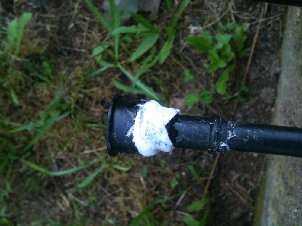 Foto2.thumb.jpg.e6e493167b3718f4c8038670b5cd4bea.jpg