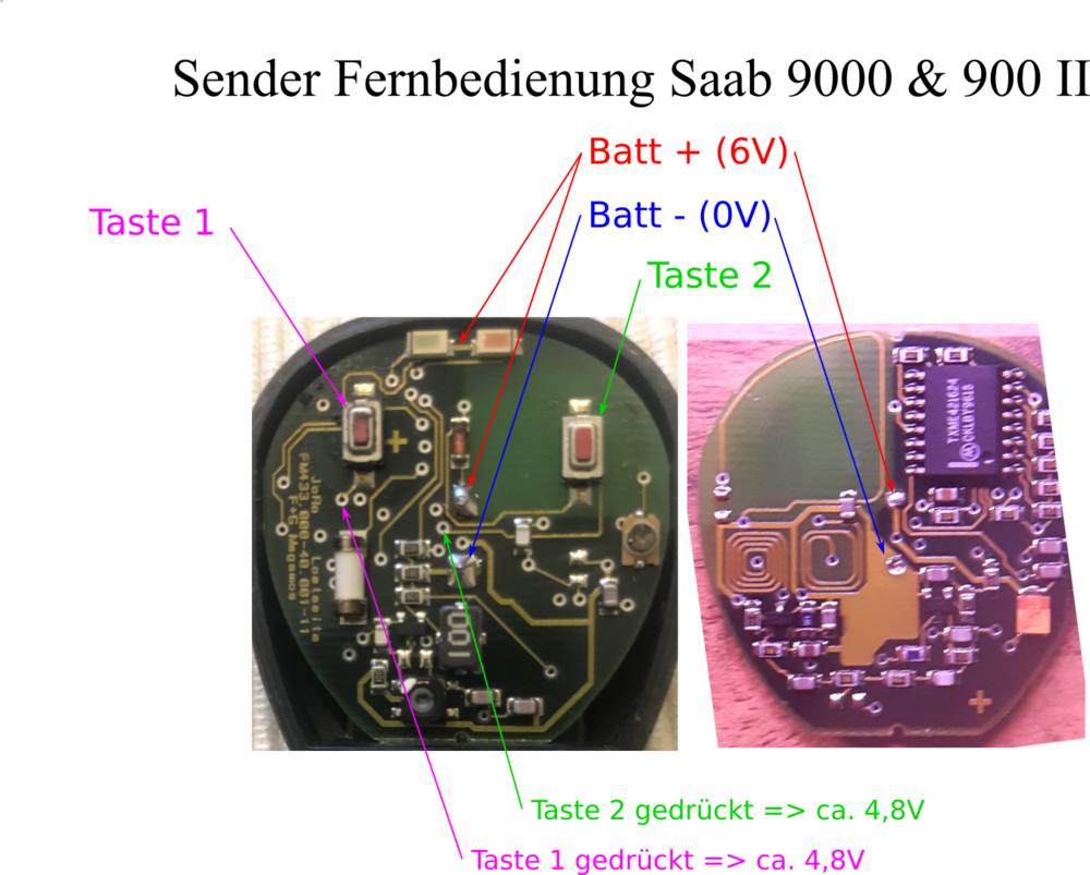 Frosch_mess1.thumb.png.925feb4c27ef37e937c6786bcd84423a.png