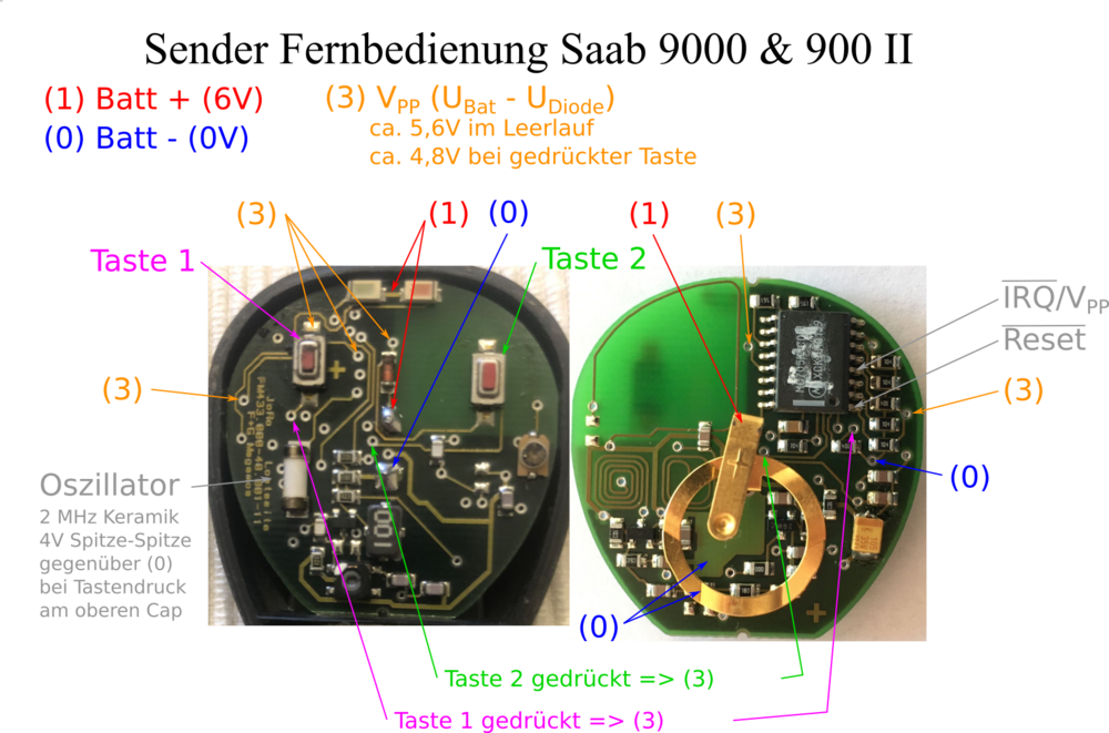 Frosch_mess2.thumb.png.c6efc6fbf9c9b42edb57b8804429c5ae.png