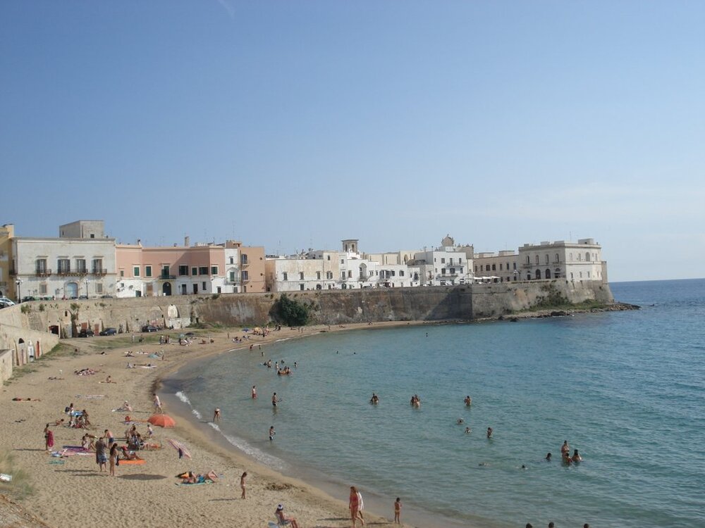 GallipoliI.thumb.jpg.facae71f11b88e483f0dbb74d58e6f7d.jpg