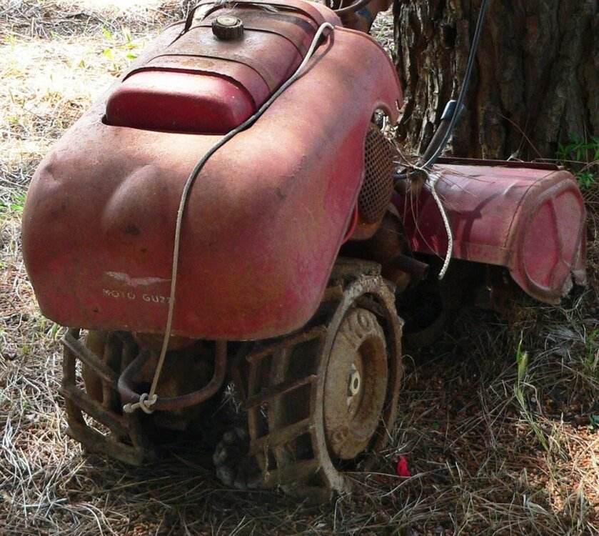 GartenGuzzi.thumb.jpg.587440be4a052d74e392b3e5cf2012d6.jpg
