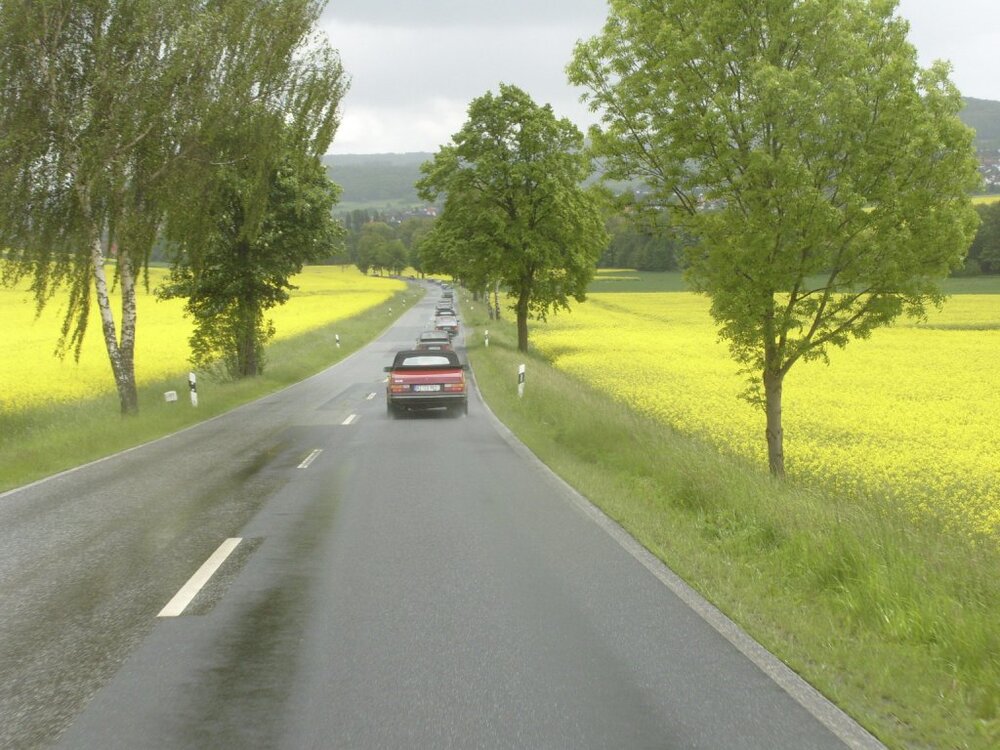 GolddesNordens.thumb.jpg.cb4c694ed24d6cfdce9ea98a6967c071.jpg