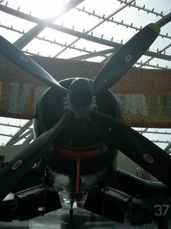 GroerVentilator.thumb.jpg.1d6297b32f26a1d4cab5166c3eb6d99a.jpg