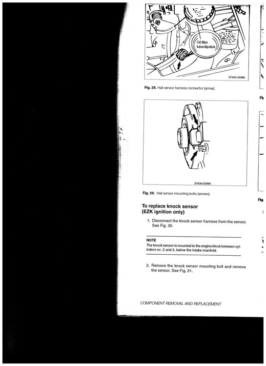 Hall_02.thumb.jpg.c4548032ed259ea8366918b05af83f23.jpg