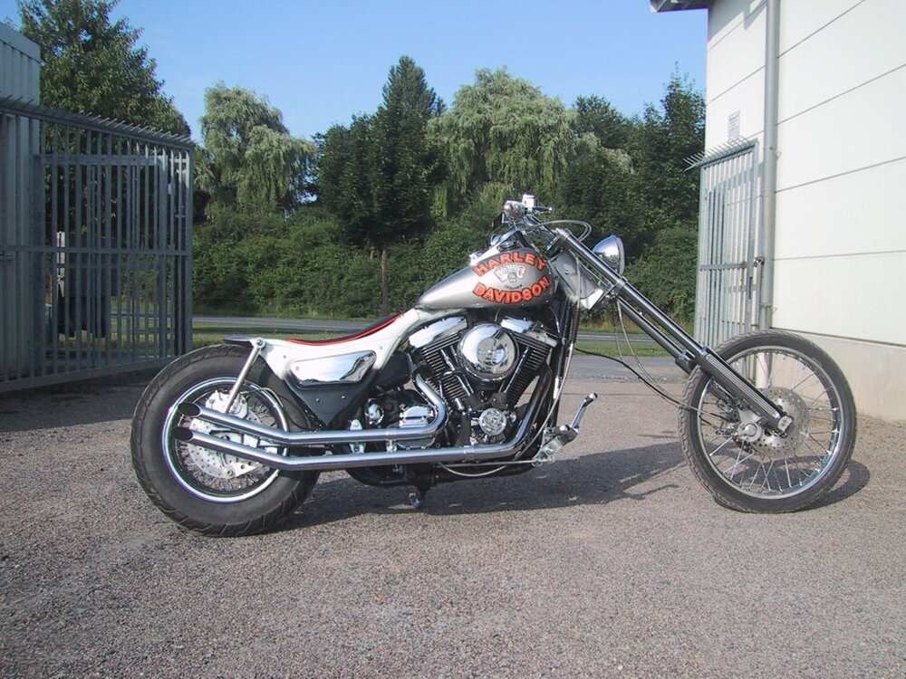 HarleyDavidson1.thumb.jpg.89c06f0e07b9fd860a1956322a048fe7.jpg