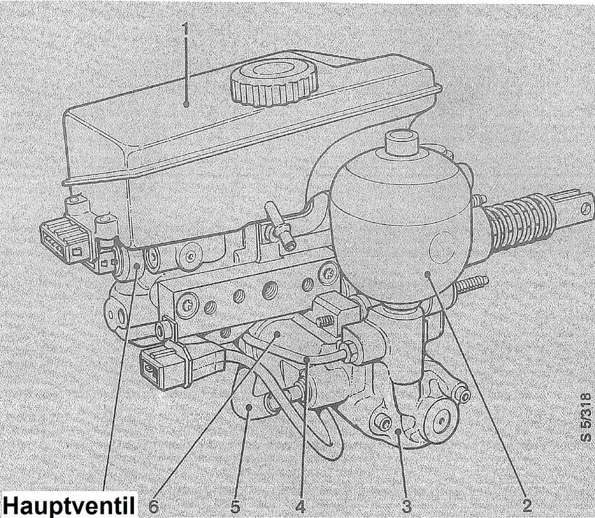 Haupt.thumb.jpg.5b96db57fc106fa3792a8bae418d6cd9.jpg