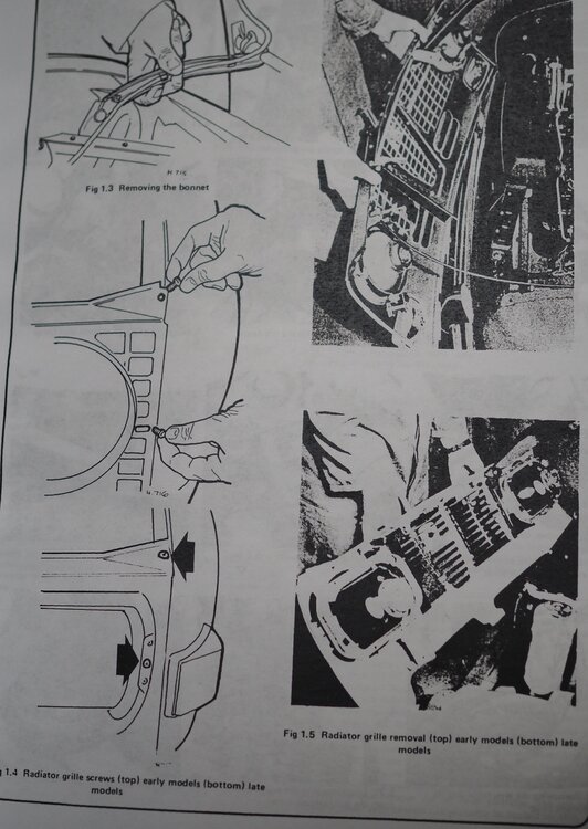 Haynes.thumb.jpg.f5af68ae033314b543d3275a77f2c589.jpg