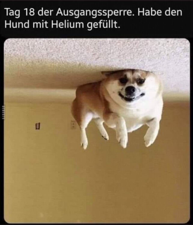 Helium.thumb.jpg.eed3c9778783ddeb27338a5322f55daa.jpg
