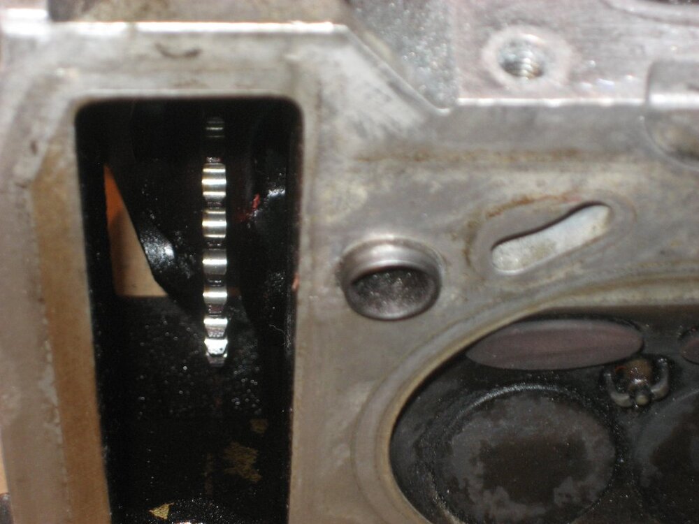 HlseinZyl.-Kopf.thumb.jpg.ec16fdd3eee467b22b4f8963f99f5305.jpg