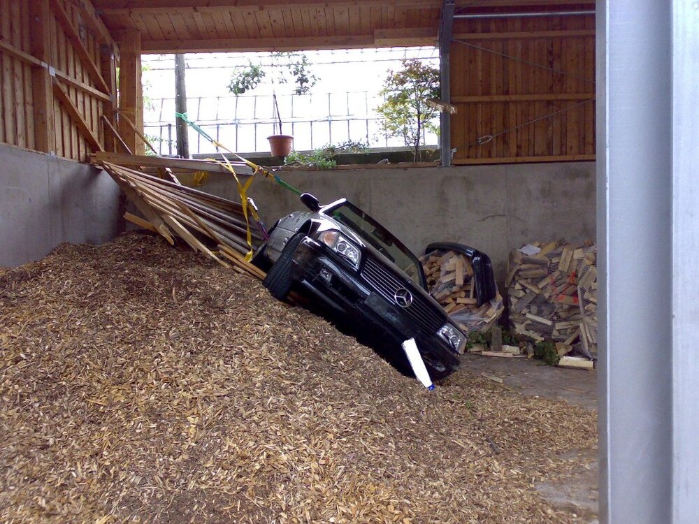 Holz_2.thumb.jpg.0541eab7ff13956cbb32f99c69cb1dbb.jpg