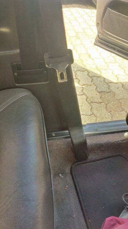 IMAG0042.thumb.jpg.4edd0c59b931eef606efefeb87093749.jpg