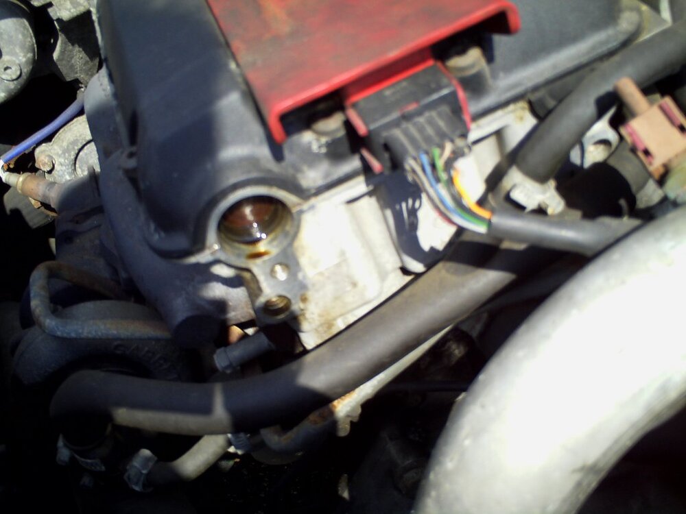 IMAG0047.thumb.jpg.e635948cf422f8dad8593dce35fb056b.jpg