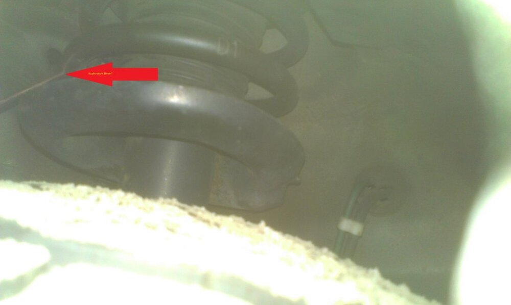 IMAG0182.thumb.jpg.5514184c935910a21e1983a9db18ca81.jpg