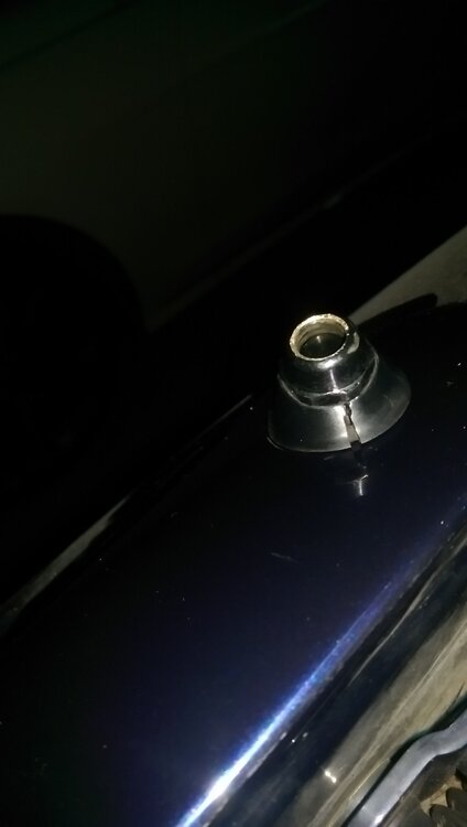 IMAG0194.thumb.jpg.37aa0ce8c925a21a2f4147ccd792c0c9.jpg