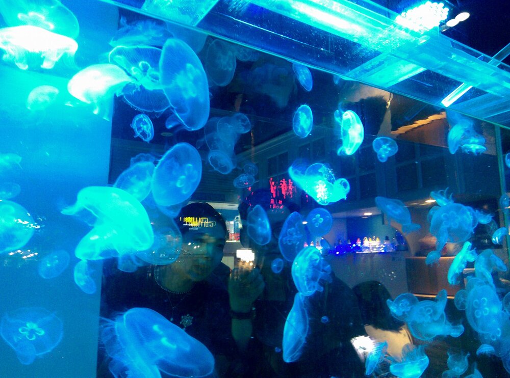 IMAG0378(2).thumb.jpg.bbeaa63aeb12b539f09b1d4d7b992505.jpg